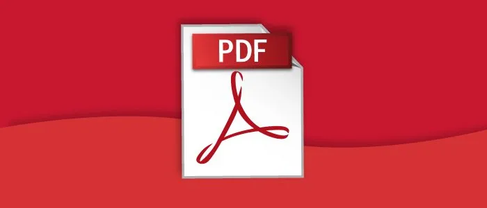 https://www.texno.blog/public/PDF nədir?