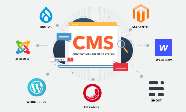 https://www.texno.blog/public/CMS nədir ?
