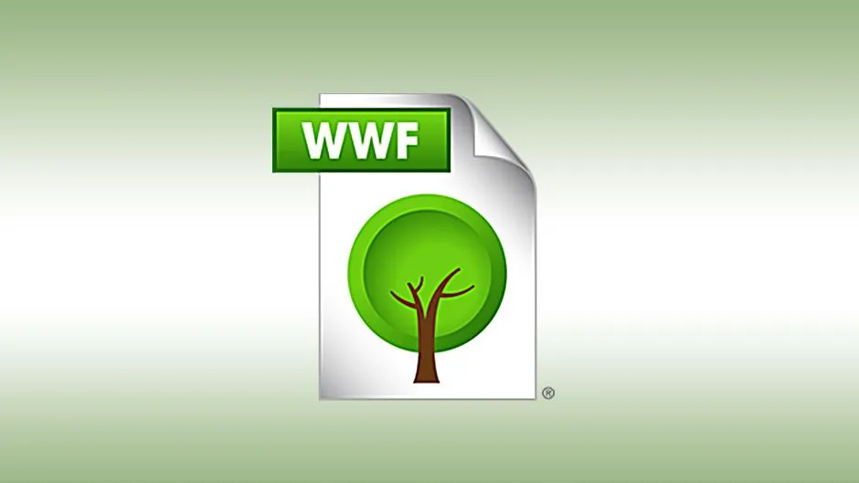 https://www.texno.blog/WWF nədir?