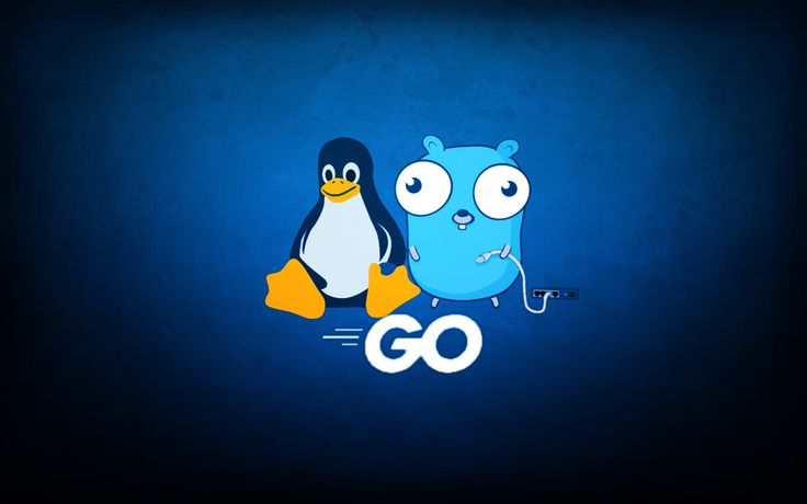 https://www.texno.blog/Golang proyekti serverdə necə işə salmaq olar?